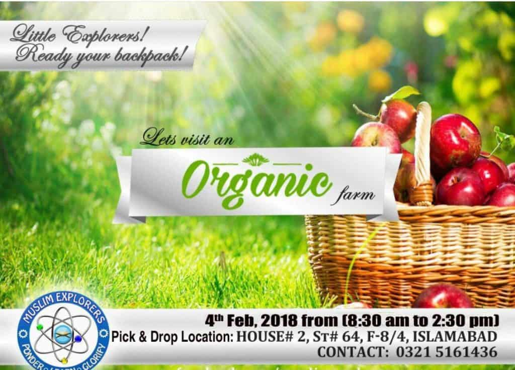 Organic gardening banner