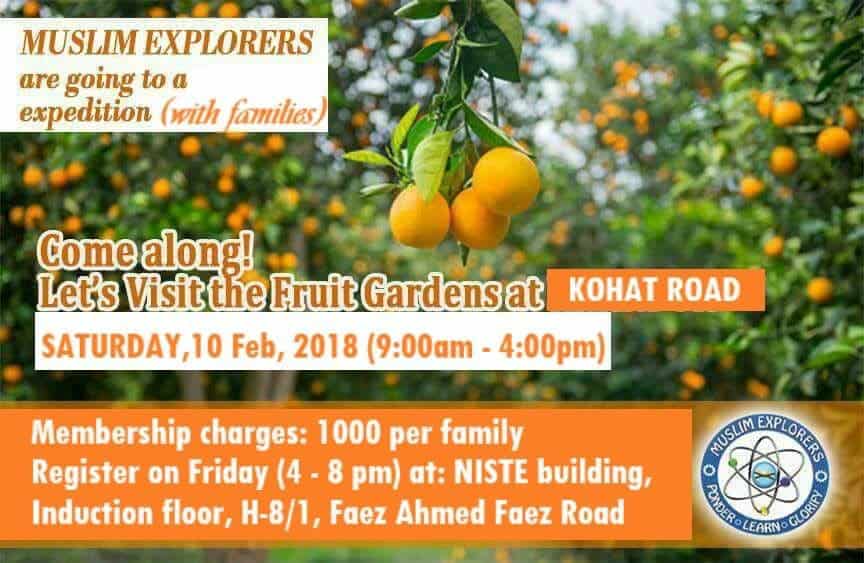 Fruit growth awareness
