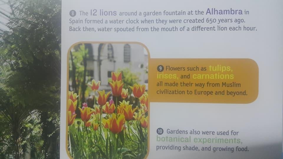 Herbal plants in Islam