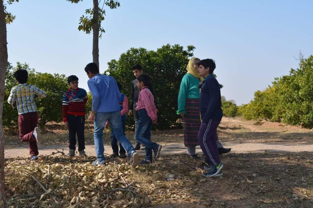 Gardening activity