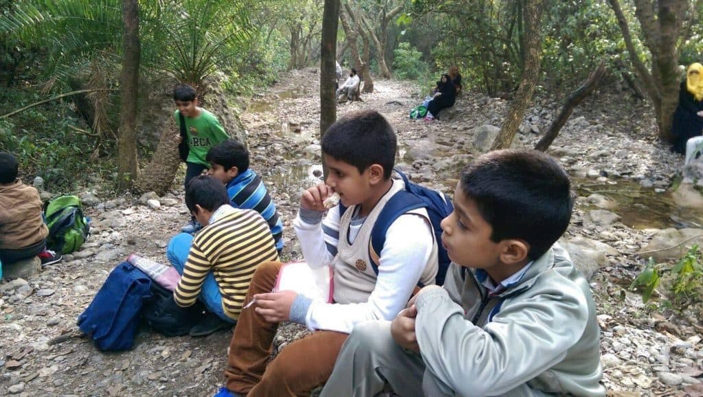 Kids relaxing in forest