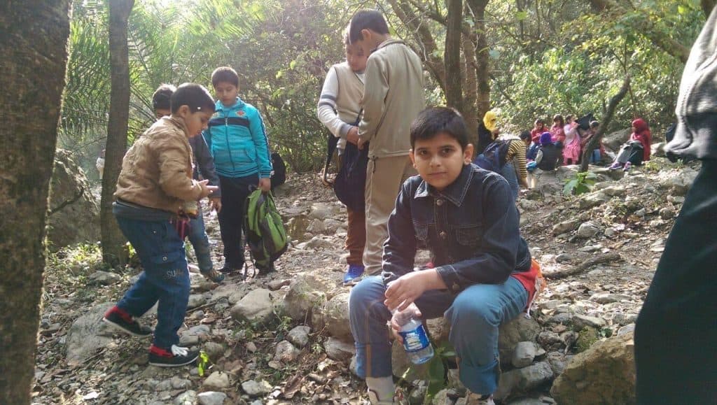 Campfire gathering