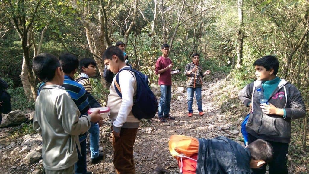 Forest bonding time