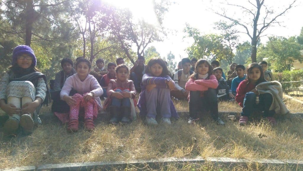 Group under trees