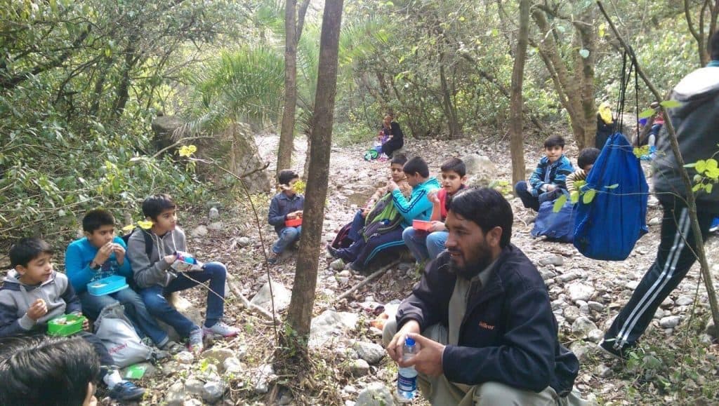 Nature circle