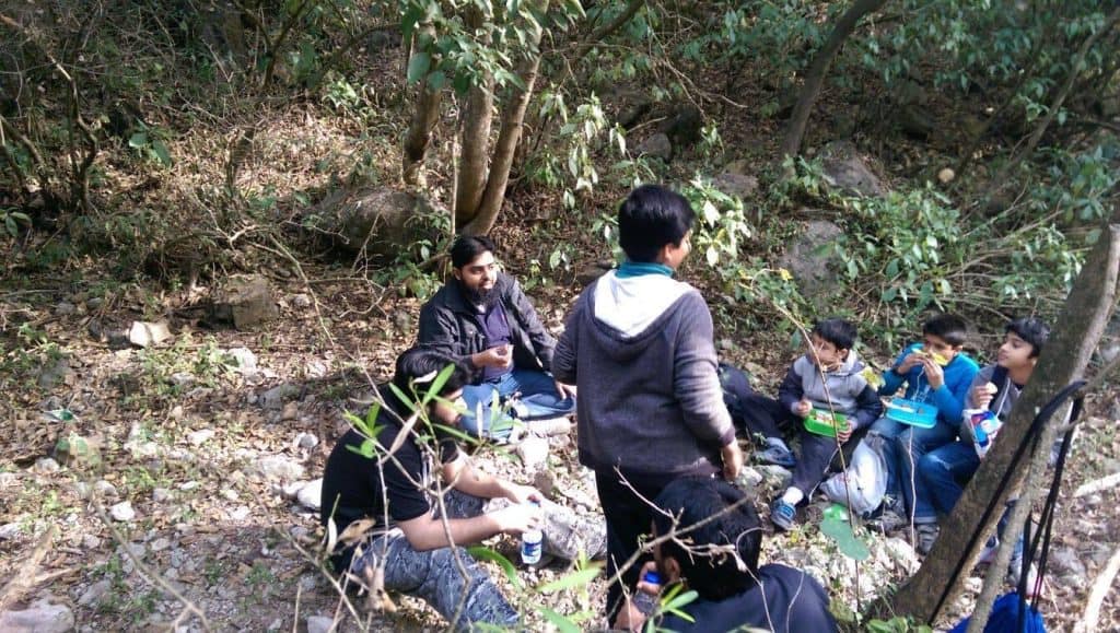 Camp in forest