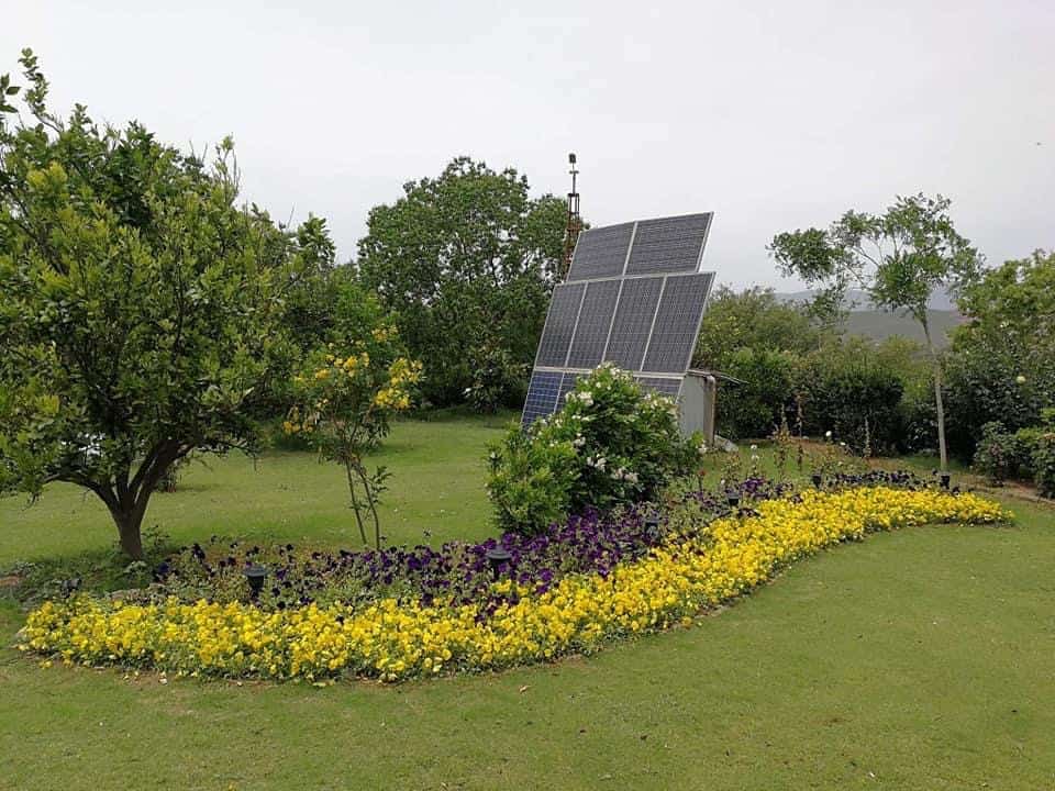 Landscaped garden