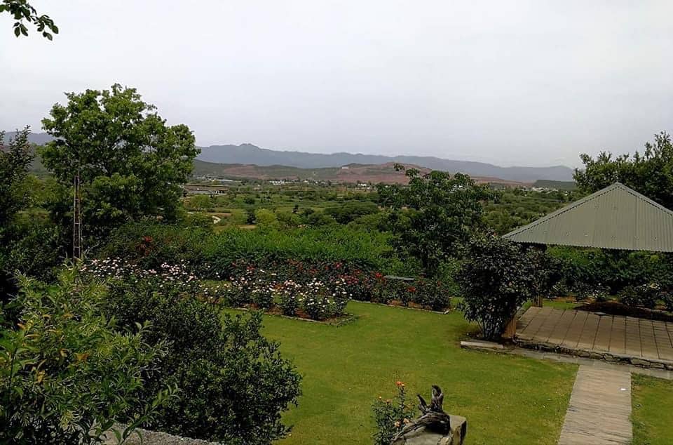 Hilly landscape