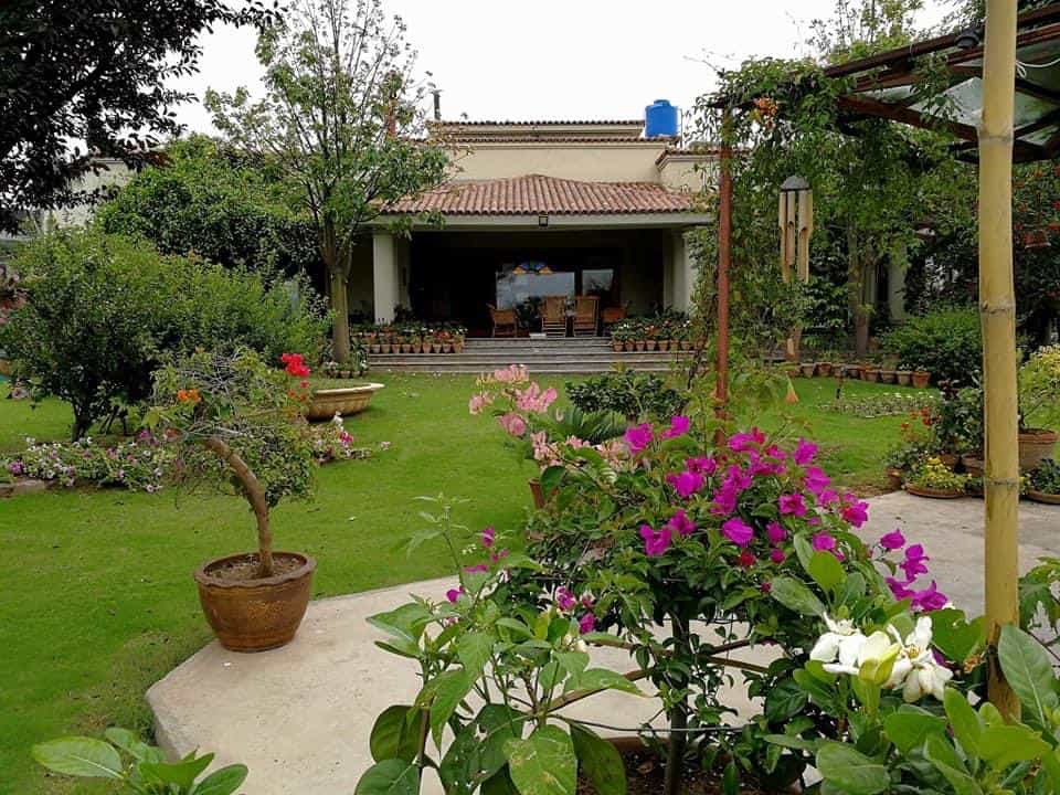 House with garden