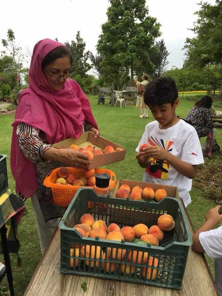 Fruit preparation with kids